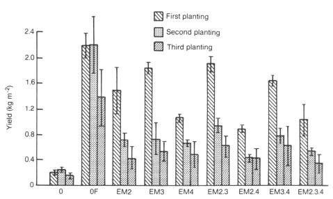 The effect of continuous cropping and EM treatments on spinach production is reported in Figure 3. Continuous cropping tends to decrease spinach production.