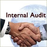 Internal Audit 23 Appraisal of the plan of organization and all the coordinated methods and