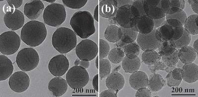 Nanotechnology: Application of nanomaterials in the microalgal biofuel production Table. Nanomaterial application in lipase immobilization (Zhang et al., 2013).