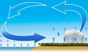 Term Info Picture Water cycle The continuous process by which water moves between the atmosphere as water