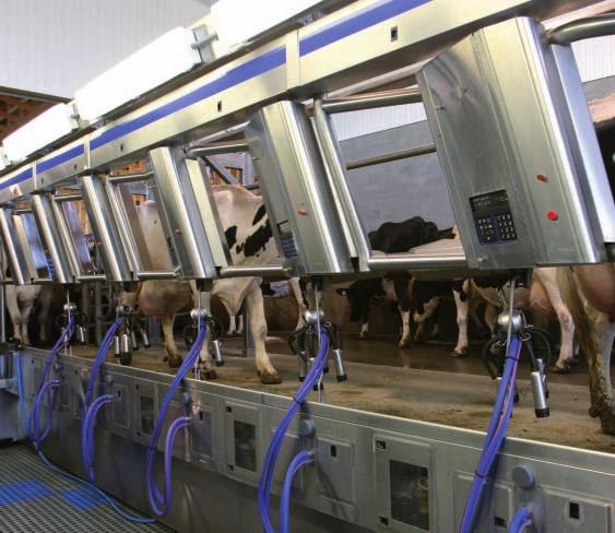 DAIRY MARKETS DAIRY MARKETS Understanding our customers customers in international dairy markets A patchy global economic recovery, volatility in prices, inputs and currency, strong NGO activity, the