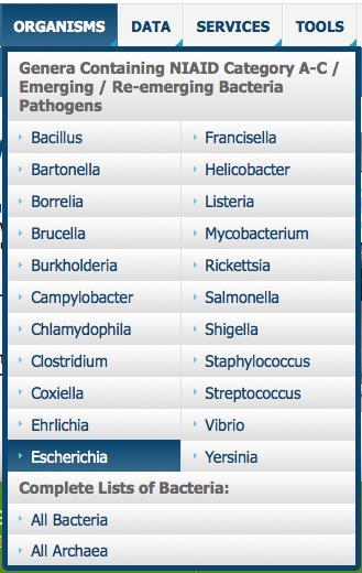 4. This will take you to the landing page for Escherichia, which summarizes all the