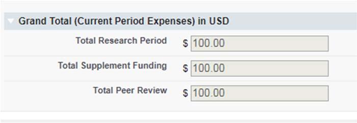 10. In the Grand Total (Current Period Expenses) in USD section, enter the following amounts: Total