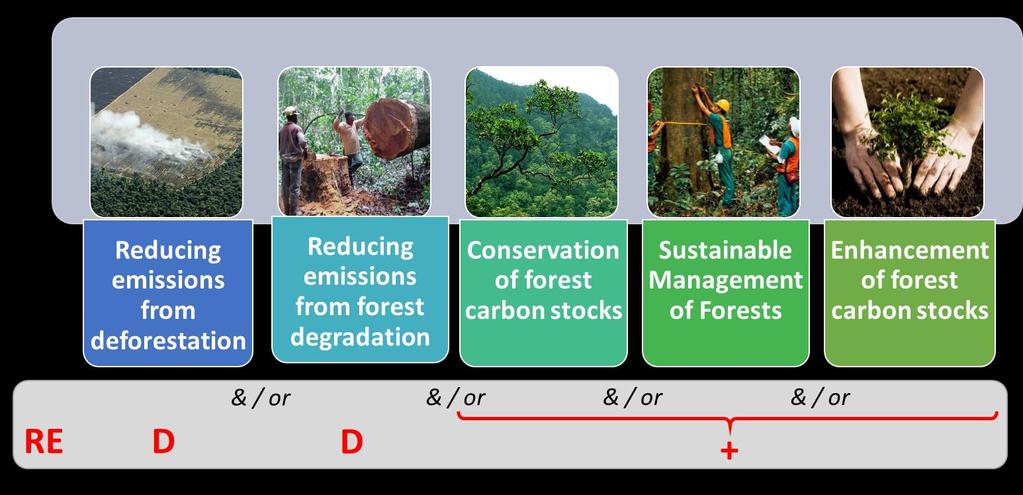 How can countries reduce their deforestation while developing?