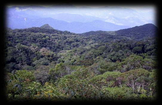 5 Mi EUR Brazilian counterpart) Priority Biogeographical domains: Amazon, Atlantic Forest