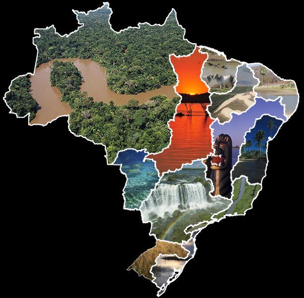 National environmental accounting: Brazil System of Environmental Economic Accouting (UN)