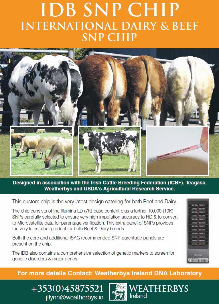 (Teagasc, ICBF, Weatherby s, Illumina) developed in 2013 Ireland will soon have the