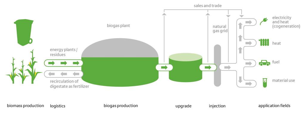 Biogas - Technical Potential and Current Injection.