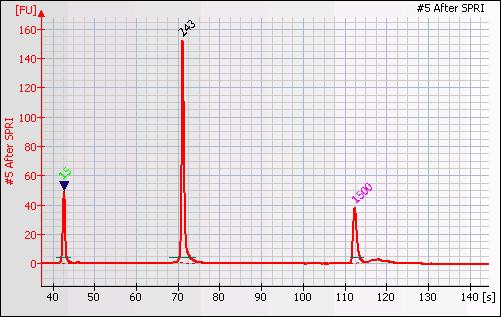 bp, showing a sizable adaptor dimer peak at 31 bp.