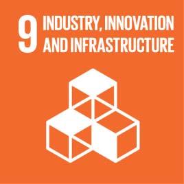 SDG 9: Build resilient infrastructure, promote inclusive and sustainable industrialisation and foster innovation SDG 11: Make cities and human settlements inclusive, safe, resilient, and