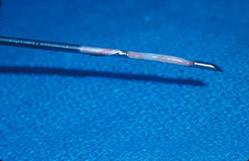 Figure 1. Core biopsy needle including excised tissue sample.