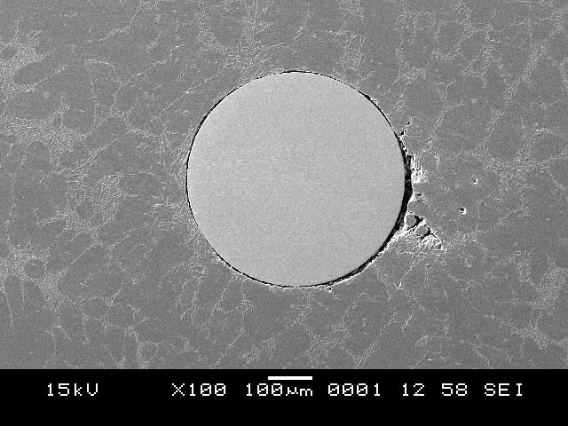 I I C M I I Figure 1 SEM micrograph of Composite 1.