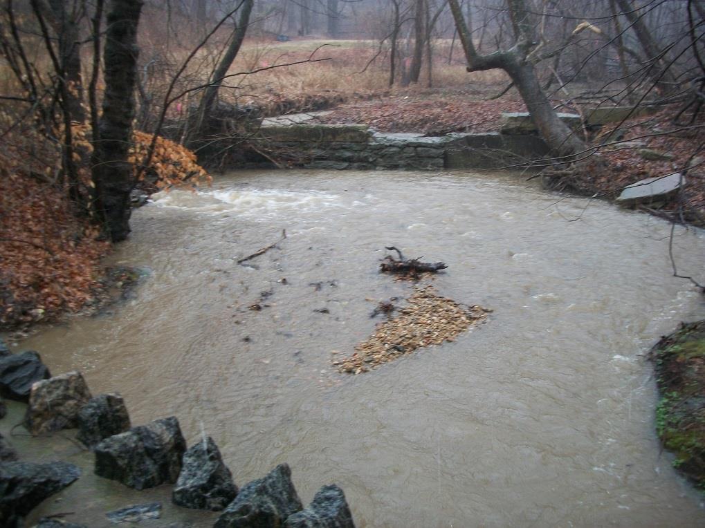 Towson Run Tributary Client Project Goals Assessment Metrics & Predicts of Functional Uplift establish long-term, stable