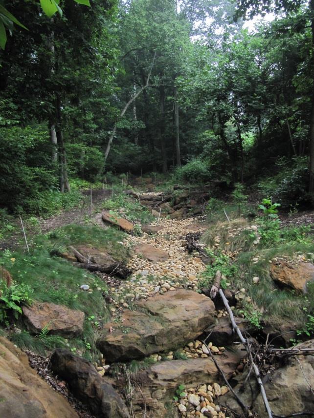 Carriage Hills Measured Benefits of Functional Uplift from Design Goals of Restoration: stable conveyance of storm flows flow attenuation water