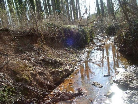 Functional Value Drivers of Stream Restoration Next?