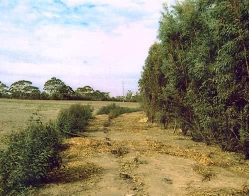 Drylands Australia