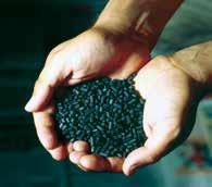 %) 95 Catalytic activated carbon A superior adsorption capacity is absolutely necessary for very small activated carbon filter units, so that the adsorption time between the