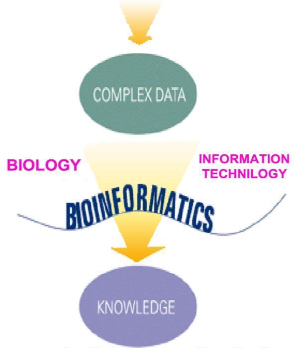 1. Introduction Bioinformatics is the field of science in which biology, computer science, and information technology merge to form a single discipline.