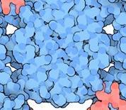 13 Protein-ligand Docking In the last two decades, tens of thousands of protein three-dimensional structures have been determined by X-ray crystallography and Protein nuclear magnetic resonance