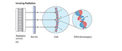 RADIATION Ionizing Radiation Shorter wavelength, Highly penetrating Break DNA backbone used to