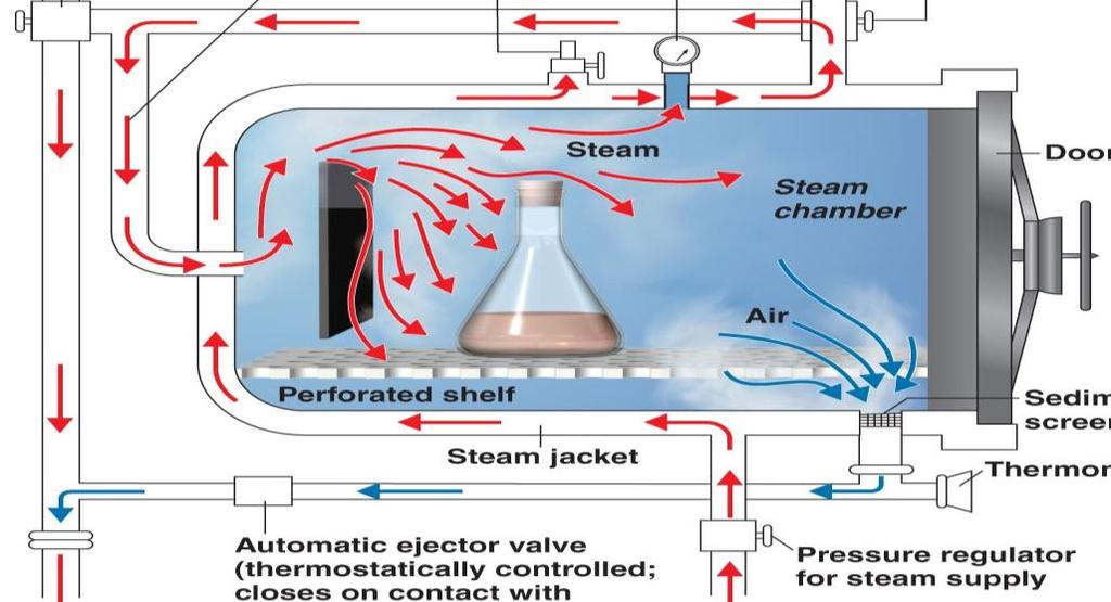 Denatures proteins Moist Heat Sterilization Autoclave: Steam under pressure, Most dependable sterilization method Steam must directly contact