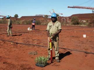 Sustainable Development Aboriginal Employment Ngarda Civil & Mining, Departmental indigenous targets, Cultural training