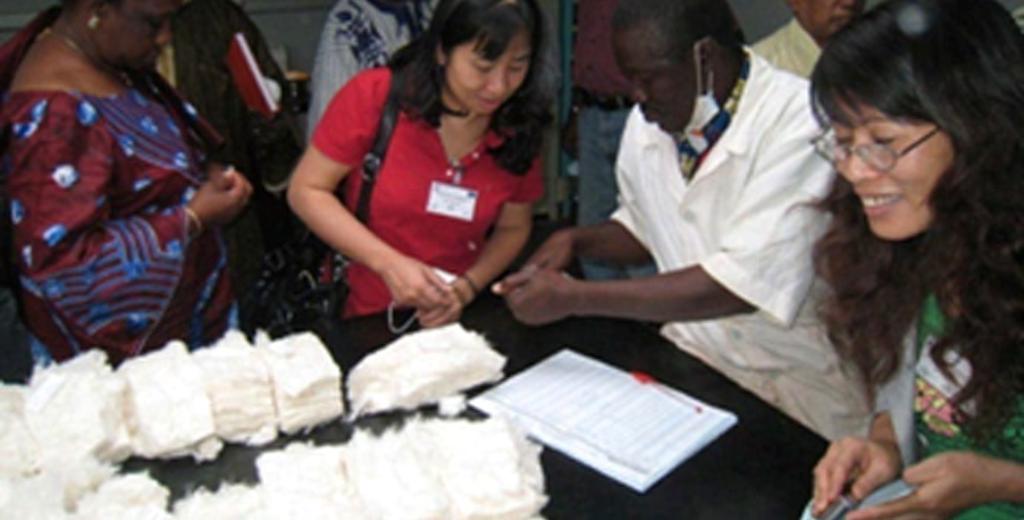 Furthermore, in Eastern and Southern Africa, the ITC supported ginneries wishing to reduce the contamination of cotton fibre while seeking ways to obtain the payment of premiums and working directly