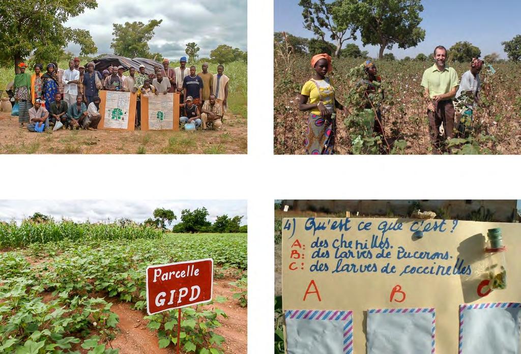The results of surveys conducted in the project zones and comparing IPPM plots with conventional plots, show encouraging improvements, in particular : - In Mali, a 94% reduction in the use of