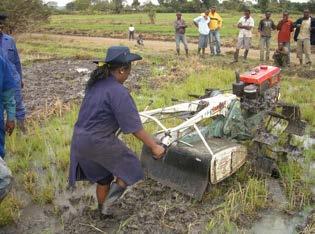 Is Asian model replicated in SSA? Can African farmers own small tractors after one decade?