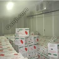 Why Cold Chain? Increase sales and profit Jingkelong supermarket built up fresh food distribution center in 2006.