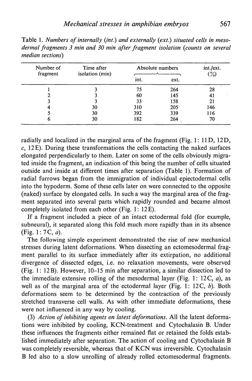 Mechanical stresses in amphibian embryos 567 Table 1. Numbers of internally (int.) and externally (ext.