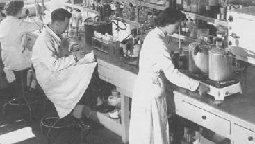 DSM s biotechnology strength has a long history since 1870 CLASSICAL BIOTECH (1870 - present) MODERN BIOTECH (1980 - present)