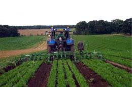 Mechanical Control Mechanical control includes field preparation by plowing or disking, cultivation, mowing,