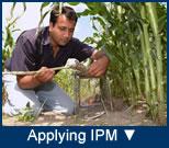 Measuring IPM Invasive Species GMOs
