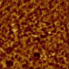 AFM images were obtained at ambient conditions after