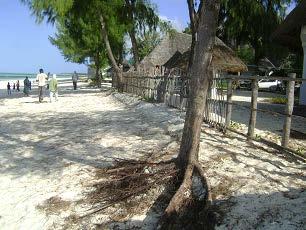 Erosion and coastal activities at Paje