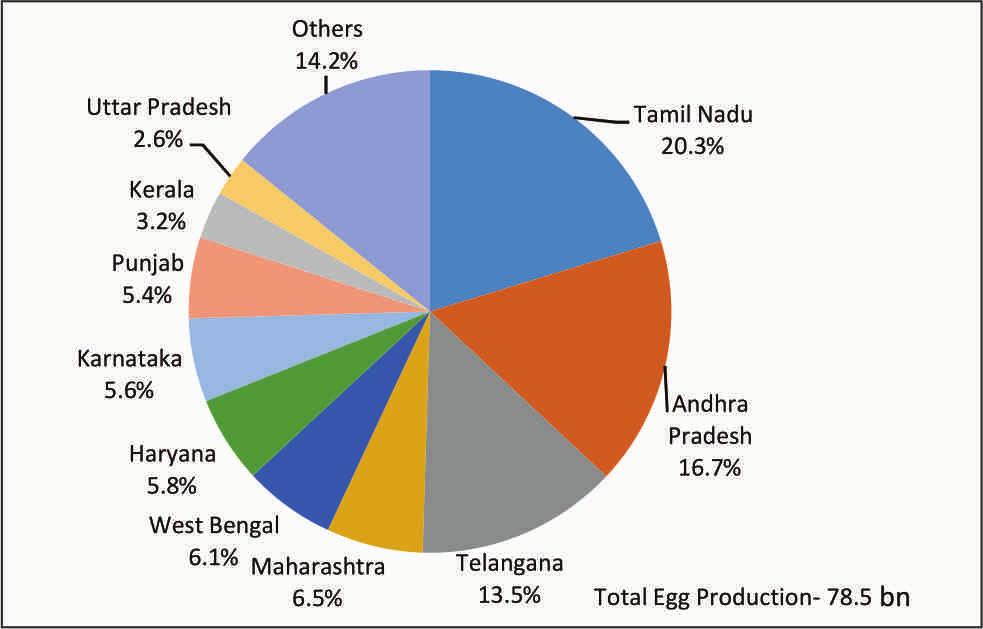 Table 4.1: Major Meat Producing States in India State 2010-11 2011-12 2012-13 2013-14 2014-15 2015-16 thousand tonnes Uttar Pradesh 845.0 955.6 1136.9 1221.0 1397.2 1417.9 West Bengal 577.0 611.1 648.