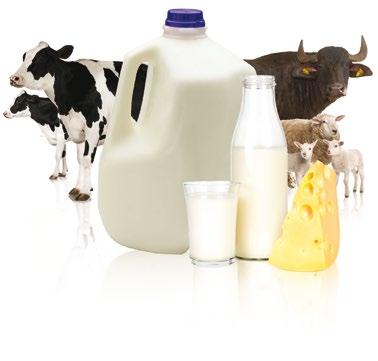 BENTLEY BACTOCOUNT IBC TECHNICAL SPECIFICATIONS* Type of Samples TOTAL BACTERIA APPLICATION Repeatability Milk of typical composition (cow, sheep, goat and buffalo) 2000 to 10+ million individual