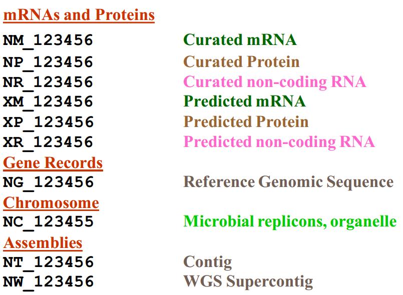 DNA & Protein