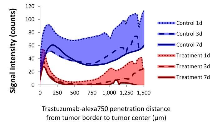 Trastuzumab-alexa750 from the tumor border to its center