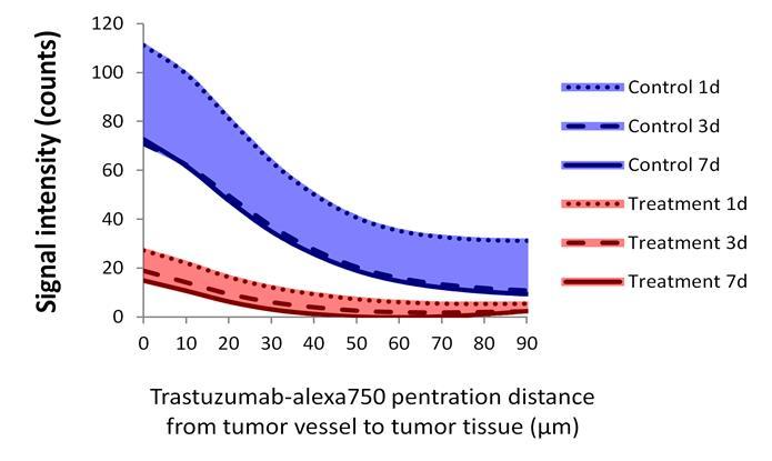 penetration from the tumor vessels into the surrounding