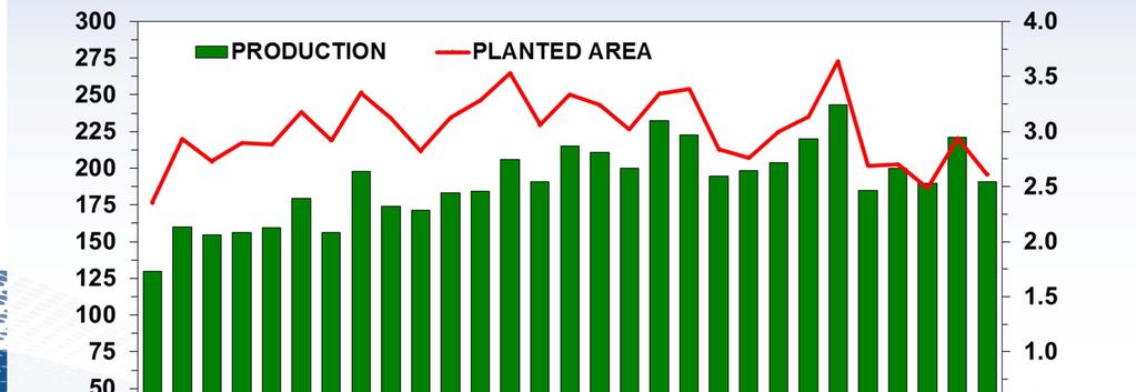 Smaller plantings pulled U.S. rice production