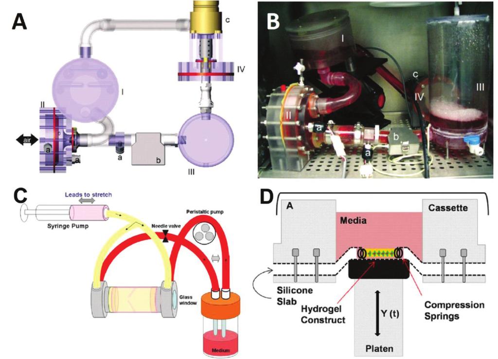 Application of Hydrogels in Heart Valve Tissue Engineering 125 FIG. 10T: (A,B) Example of a full scale, pulsatile bioreactor for heart valve culture.