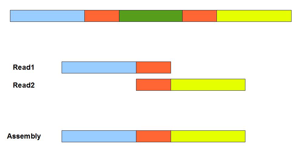 Two categories of contiging strategies Long reads overlap layout consensus Short reads de-bruijn-graph Celera
