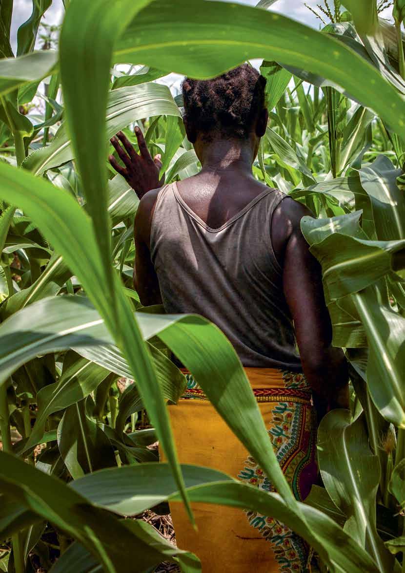 Alyne Mpunga, 25, walks through her field with a very