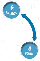 Renewable energy in the food supply chain ENVIRONMENT Climate