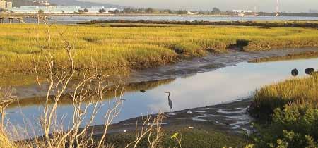 Community Vision Richmond, California in 2030 Richmond must support mitigation efforts and adopt long-term sustainable practices to reduce impacts on the environment.