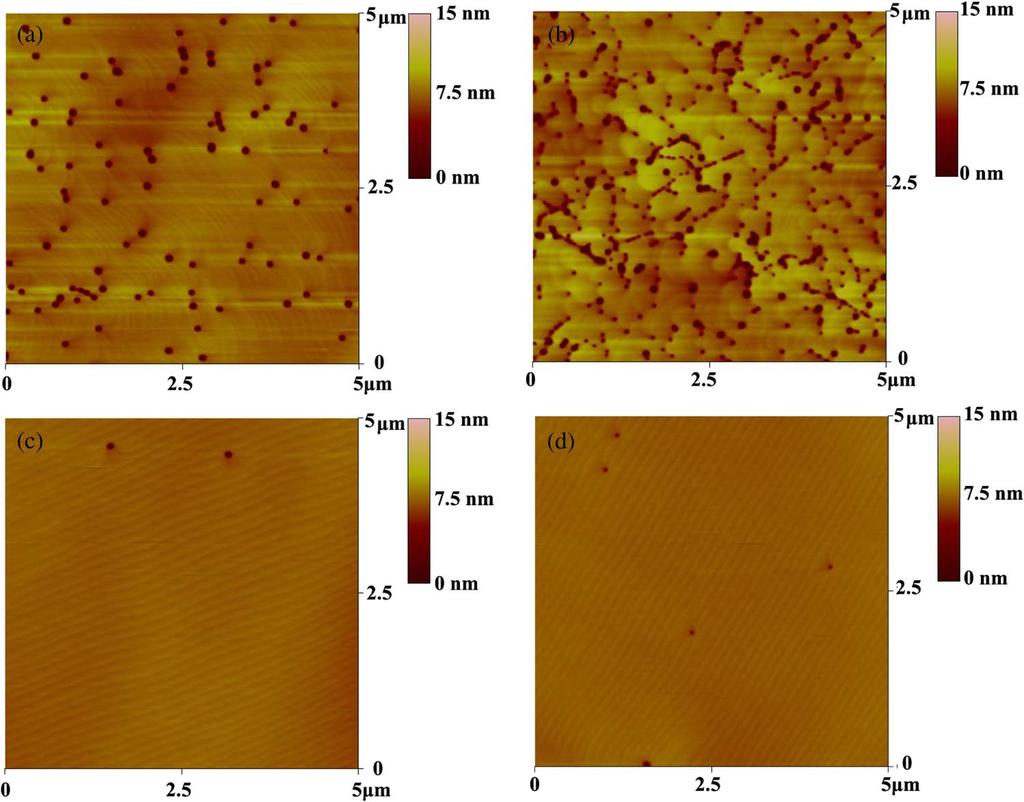 Fig. 2. AFM images ð5 5 m 2 Þ of the surface morphology of (a) 3-nm-thick and (b) 6-nm-thick MQWs on sapphire and (c) 3-nm-thick and (d) 6-nm-thick MQWs on FS-GaN substrate.