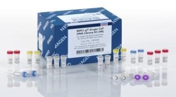 REPLI-g Single Cell Kit For highly uniform whole genome amplification (WGA) from single