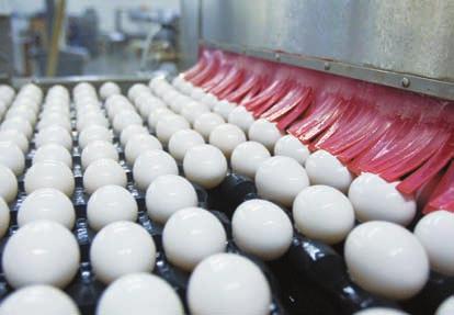 audit conducted by independent third-party inspectors More space per hen